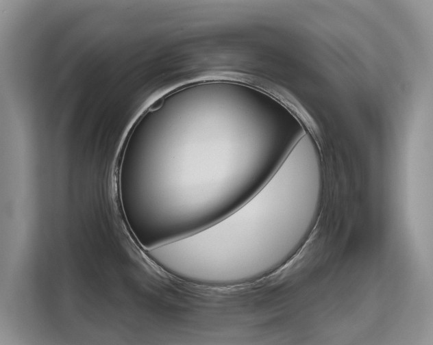 X0000111521292200907141229