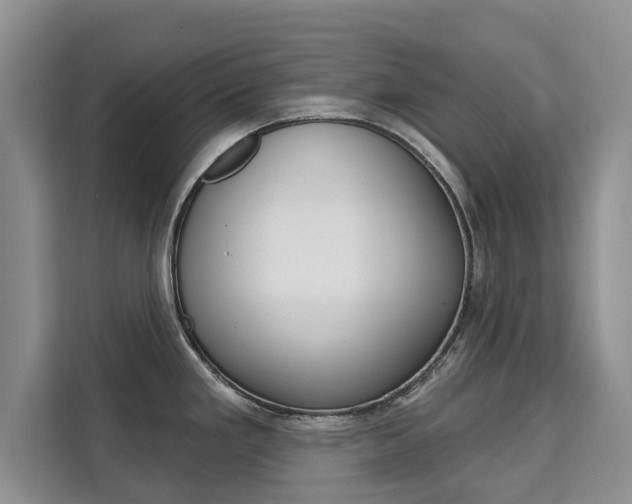 X0000111521293200907141229