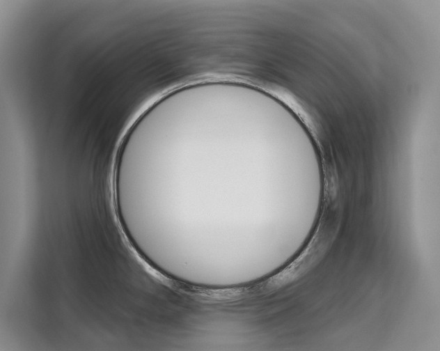 X0000111521294200907141229