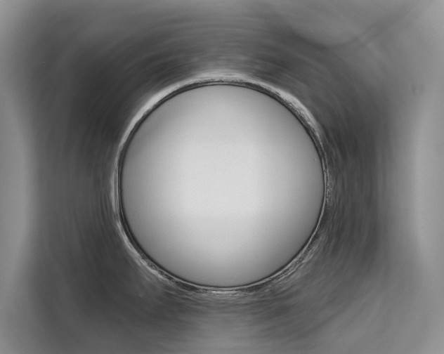 X0000111521295200907141229