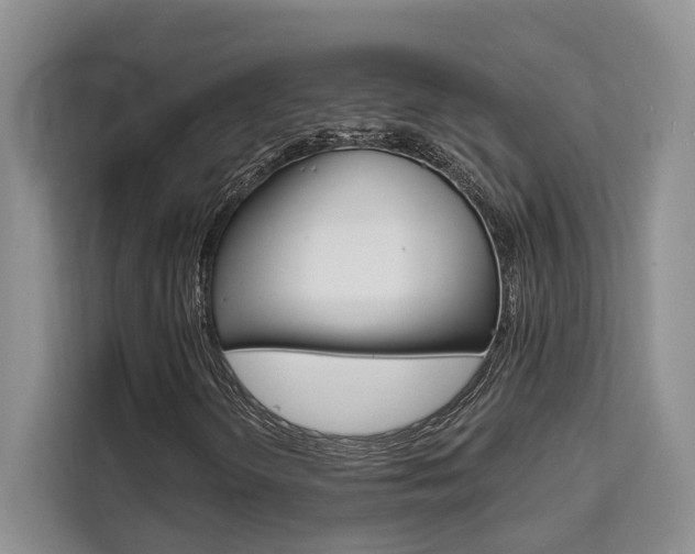 X0000111521298200907141228