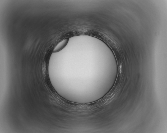 X0000111521299200907141228