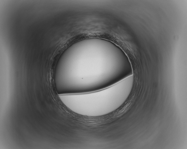 X0000111521300200907141228
