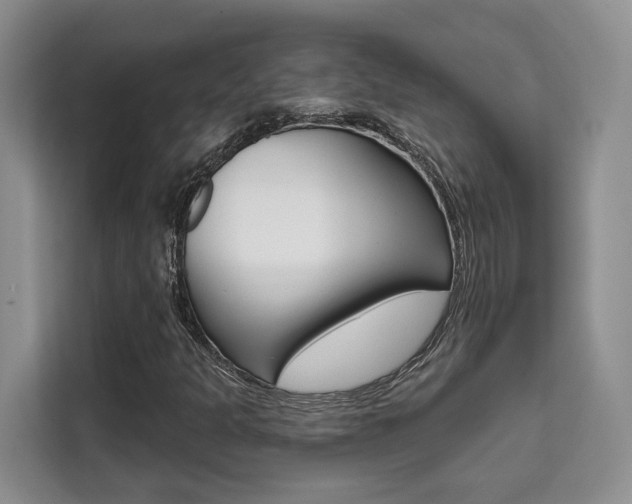X0000111521301200907141228