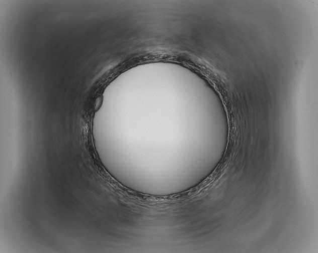 X0000111521302200907141228