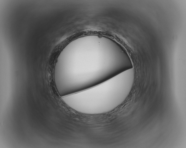 X0000111521303200907141228