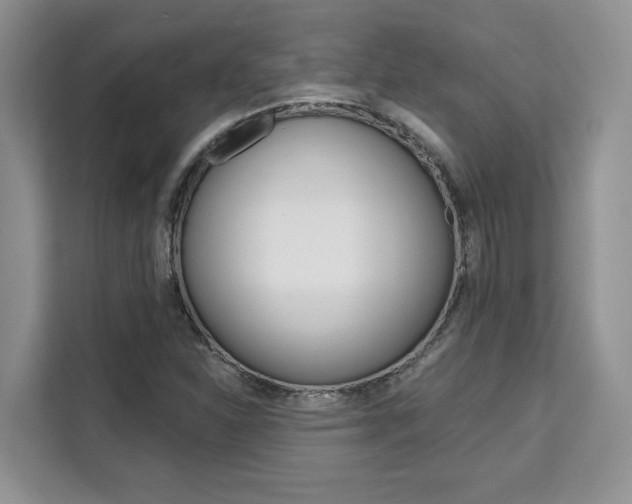 X0000111521310200907141228