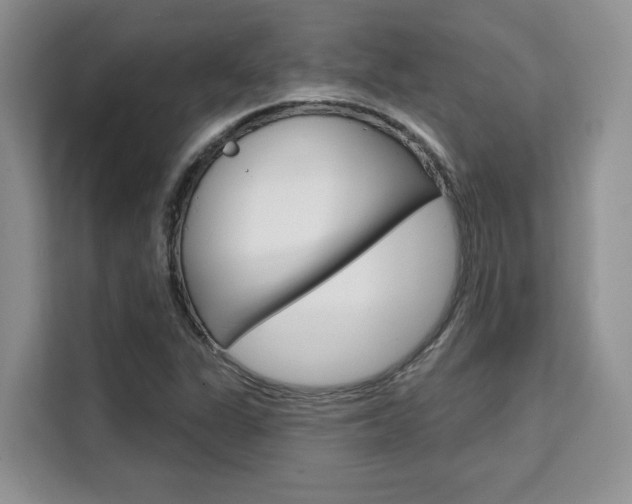 X0000111521311200907141228
