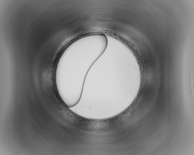 X0000111521314200907141228