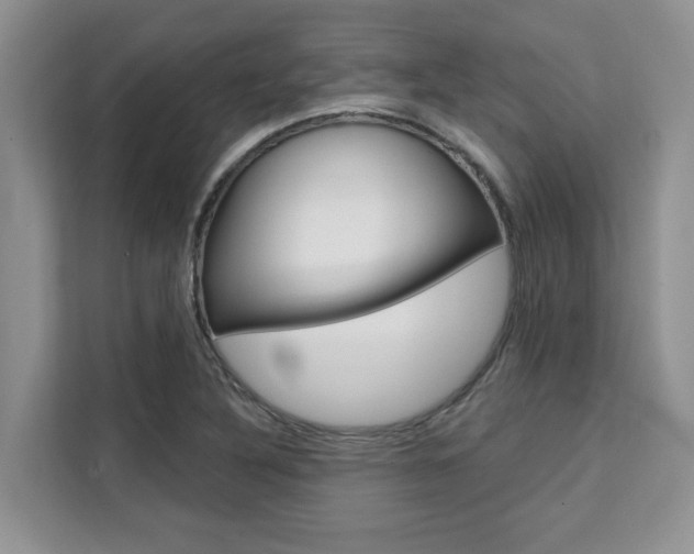 X0000111521316200907141228