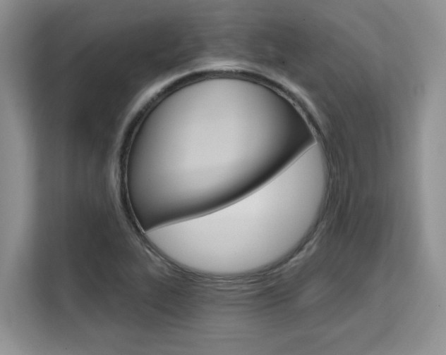 X0000111521319200907141228