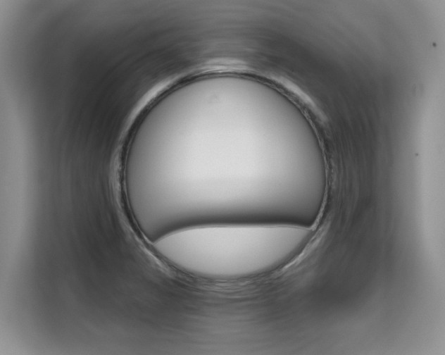 X0000111521325200907141228