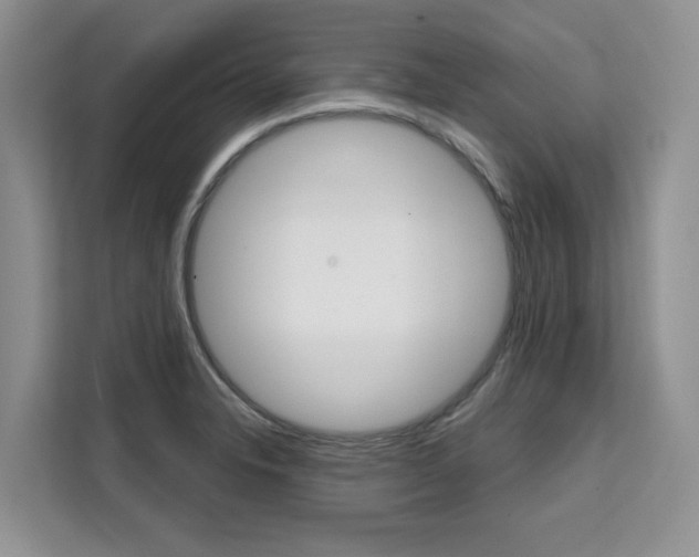 X0000111521326200907141228