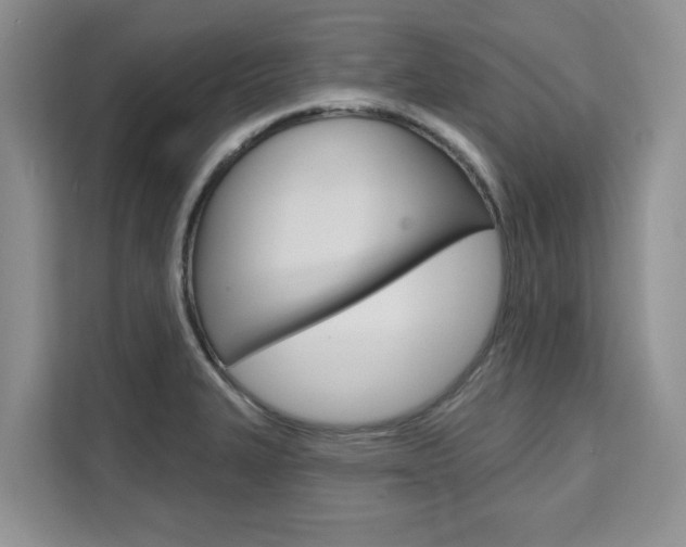 X0000111521327200907141228