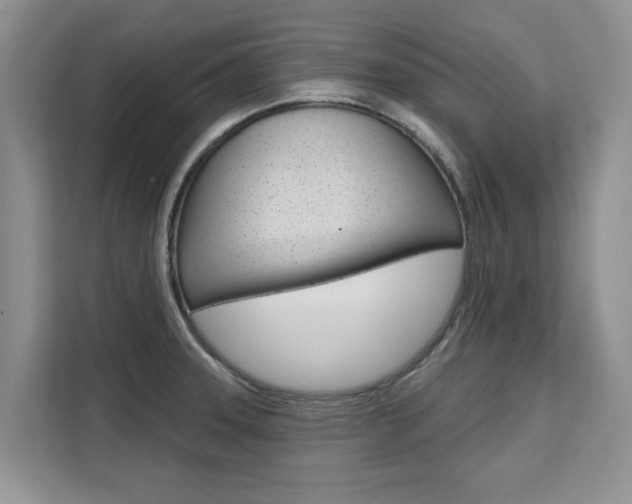 X0000111521331200907141228