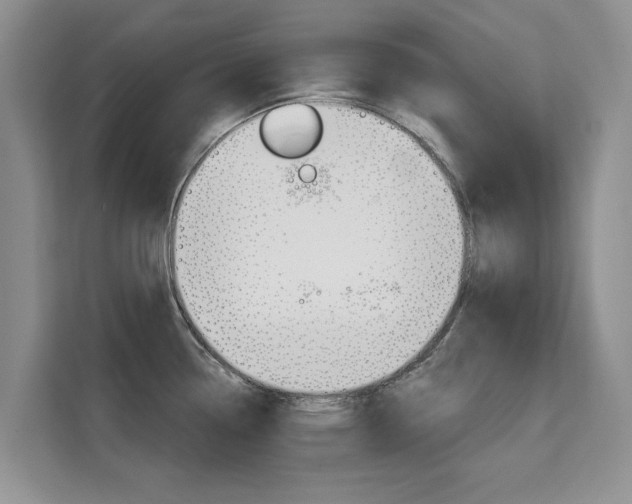 X0000111521338200907141228