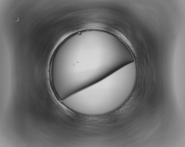 X0000111521339200907141228