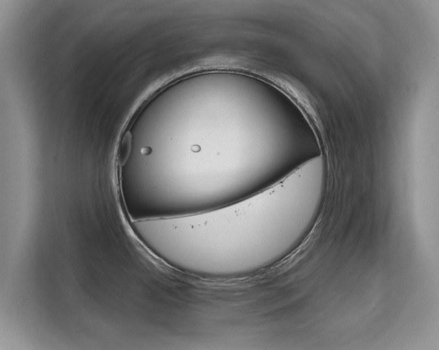 X0000111521342200907141229