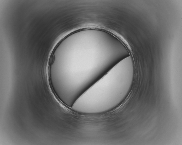 X0000111521343200907141229