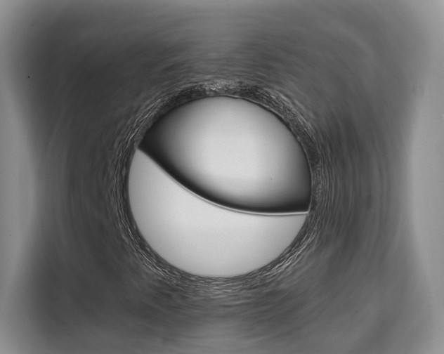 X0000111521345200907141228