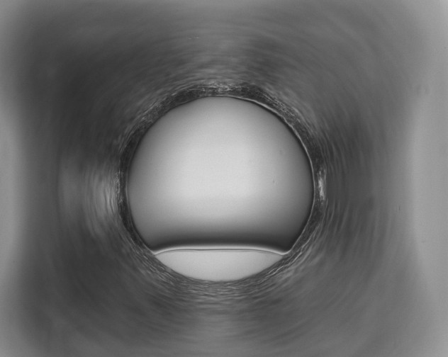 X0000111521347200907141228