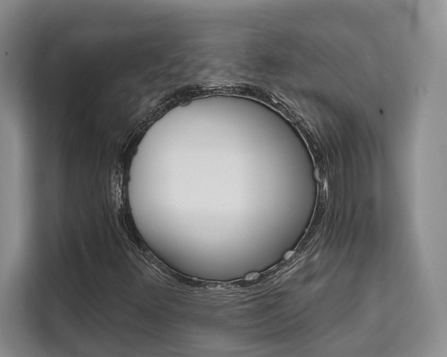 X0000111521348200907141228
