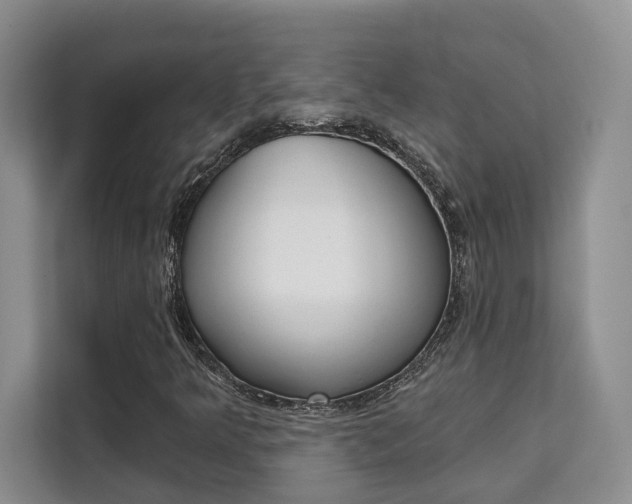 X0000111521349200907141228