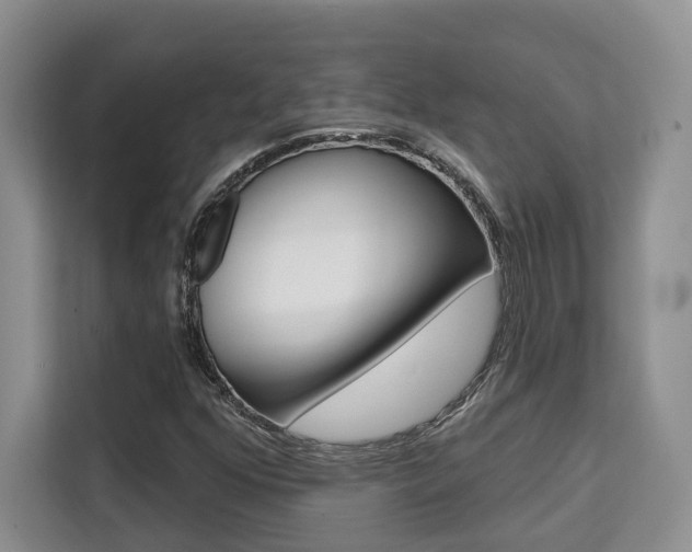 X0000111521352200907141228