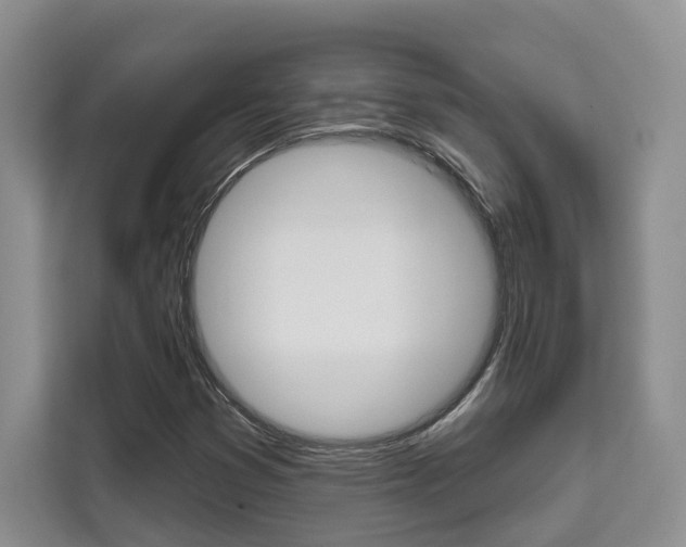 X0000111521353200907141228
