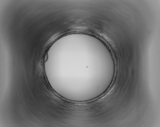 X0000111521354200907141228