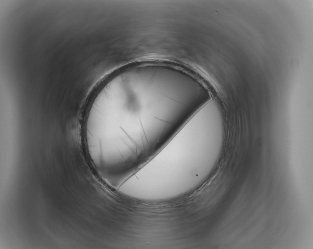X0000111521356200907141228