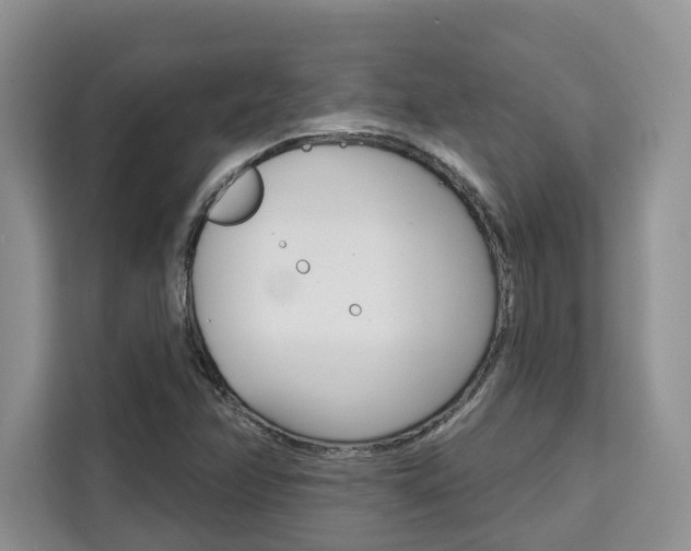 X0000111521358200907141228