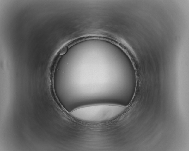 X0000111521360200907141228
