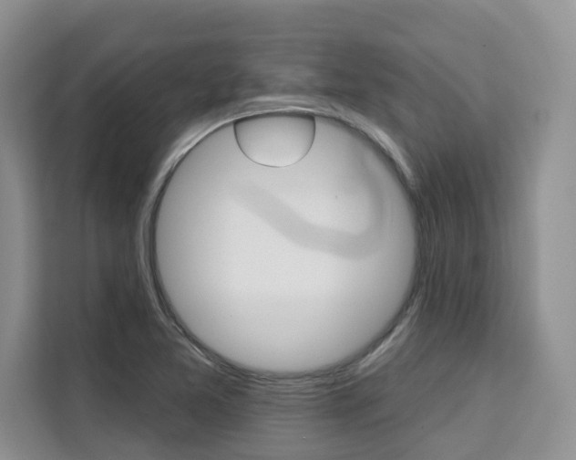 X0000111521365200907141228
