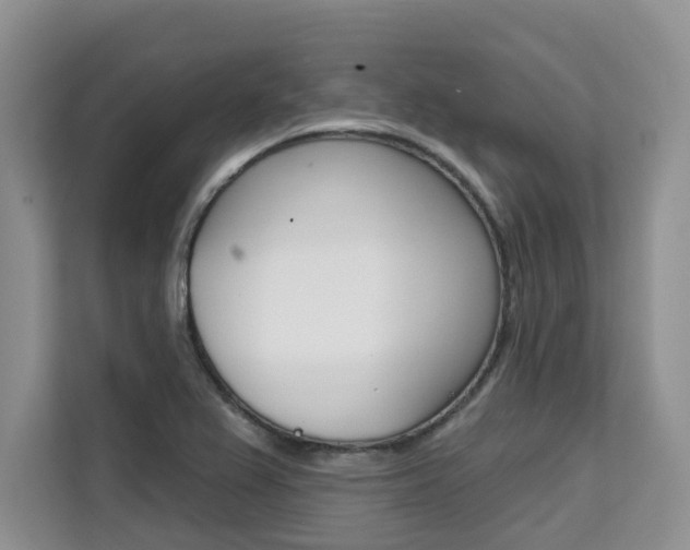 X0000111521367200907141228