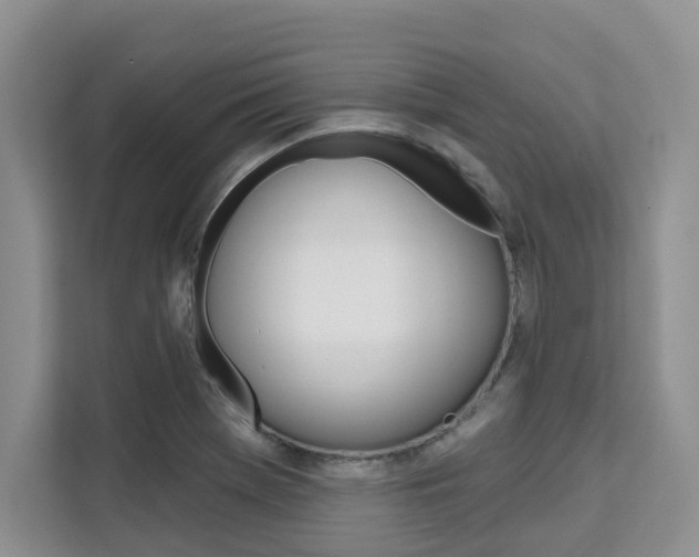 X0000111521369200907141228