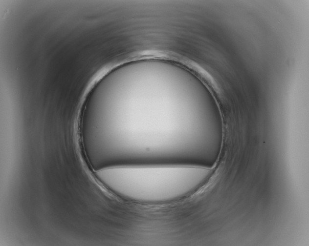 X0000111521373200907141228