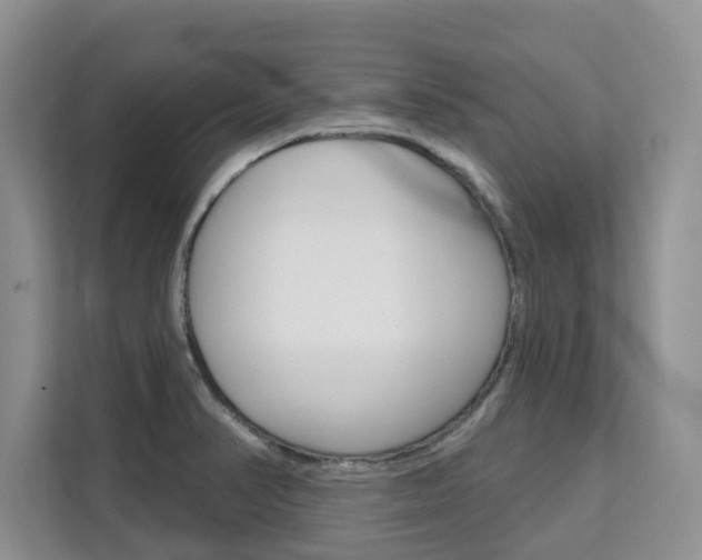 X0000111521374200907141228
