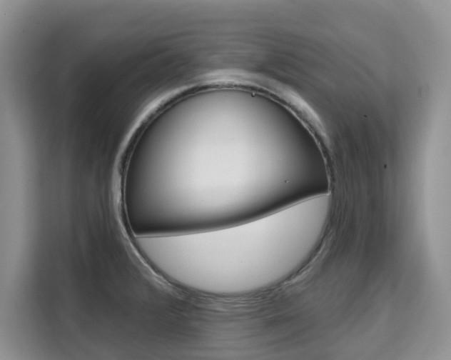 X0000111521376200907141228