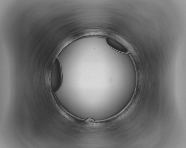 X0000111521377200907141228
