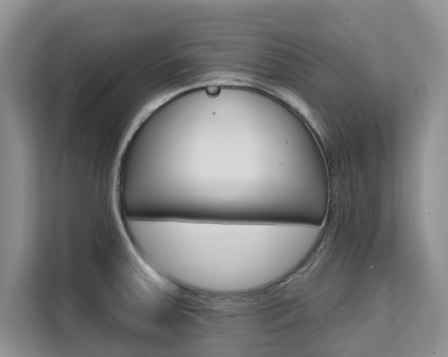 X0000111521379200907141227