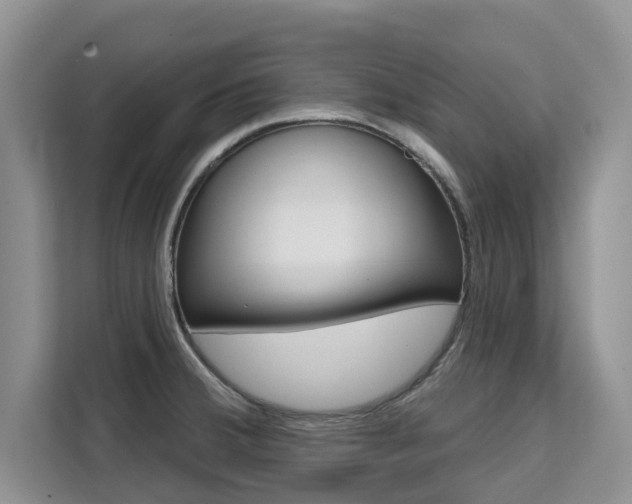 X0000111521380200907141227