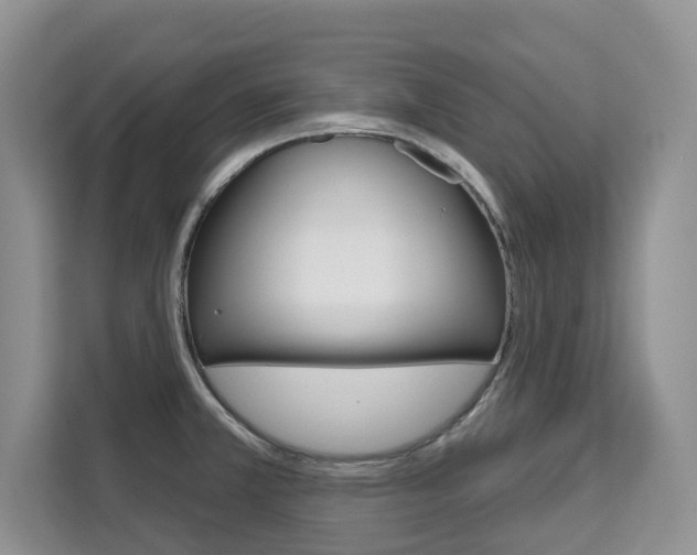 X0000111521381200907141227
