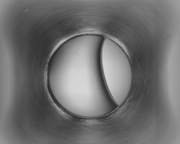 X0000111521383200907141227