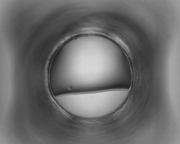 X0000111521384200907141227