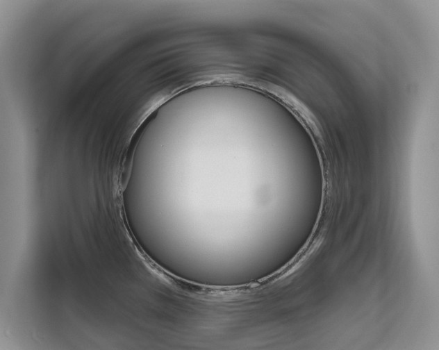 X0000111521385200907141227
