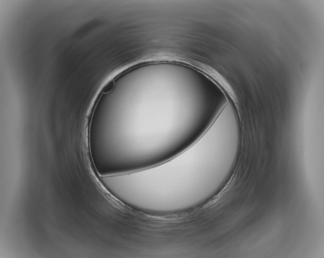 X0000111521388200907141227