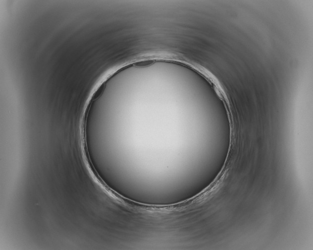 X0000111521389200907141227