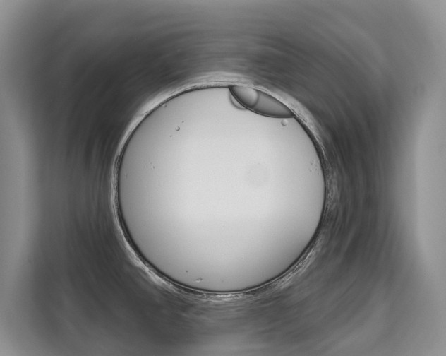X0000111521390200907141227