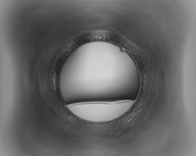X0000111521394200907141227